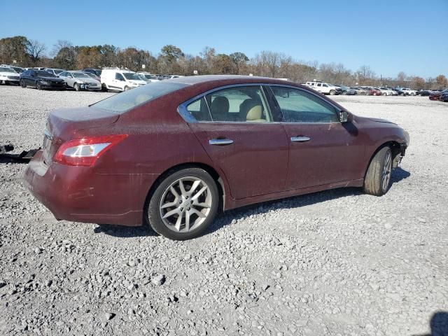 2009 Nissan Maxima S