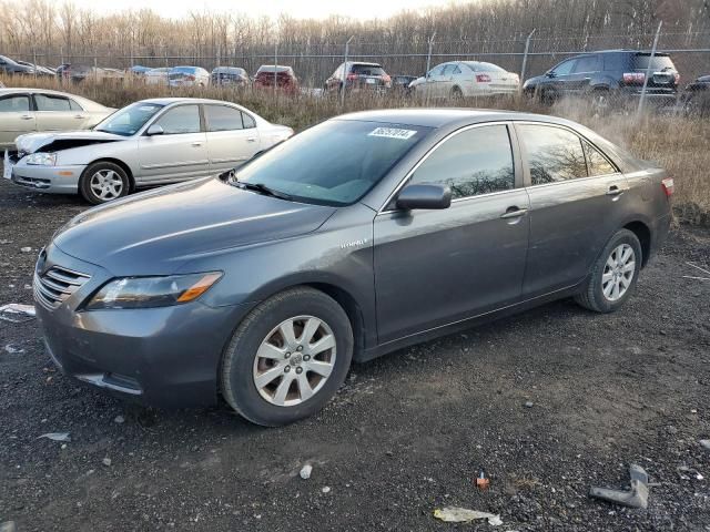 2008 Toyota Camry Hybrid