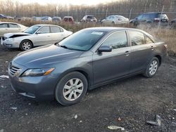 Toyota salvage cars for sale: 2008 Toyota Camry Hybrid