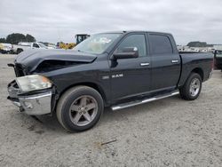 Salvage cars for sale at Lumberton, NC auction: 2010 Dodge RAM 1500