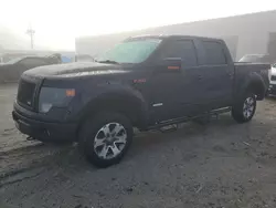 Salvage cars for sale at Jacksonville, FL auction: 2013 Ford F150 Supercrew