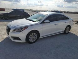 Hyundai Vehiculos salvage en venta: 2016 Hyundai Sonata Hybrid