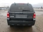 2008 Ford Escape HEV