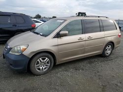 Salvage cars for sale at Antelope, CA auction: 2005 Honda Odyssey EXL