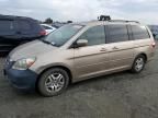 2005 Honda Odyssey EXL