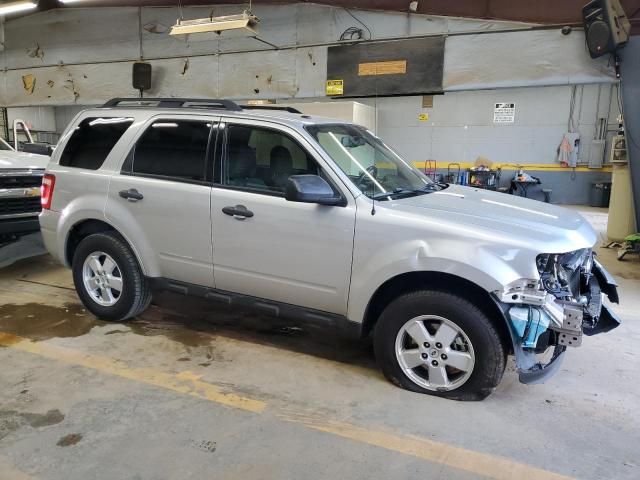 2009 Ford Escape XLT