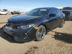 Salvage cars for sale at Brighton, CO auction: 2020 Honda Civic EX