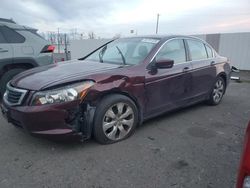 Honda Accord exl salvage cars for sale: 2008 Honda Accord EXL