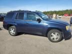 2007 Chevrolet Trailblazer LS