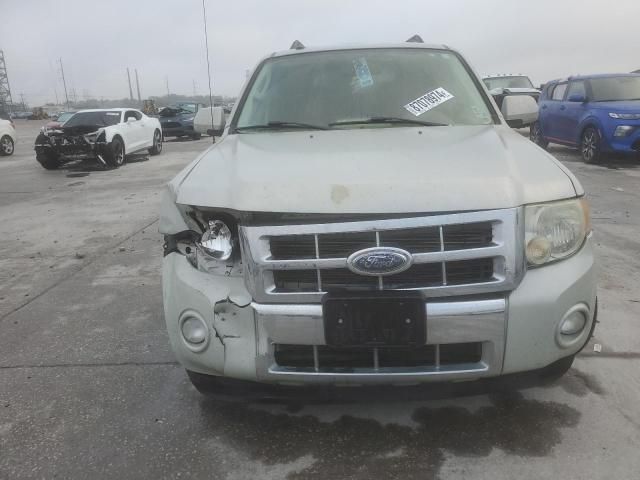 2009 Ford Escape Limited