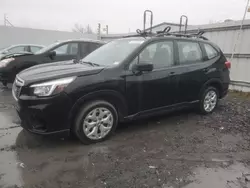 Vehiculos salvage en venta de Copart Albany, NY: 2019 Subaru Forester