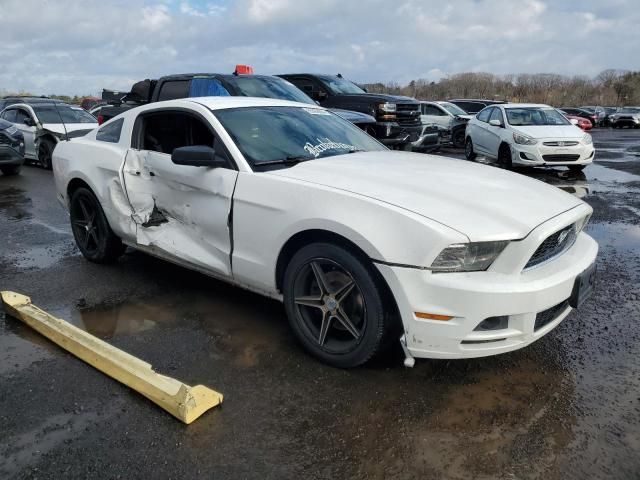 2013 Ford Mustang