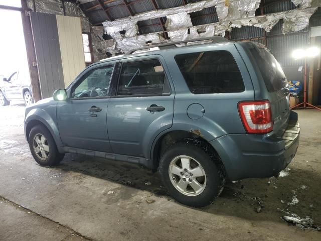 2011 Ford Escape XLT