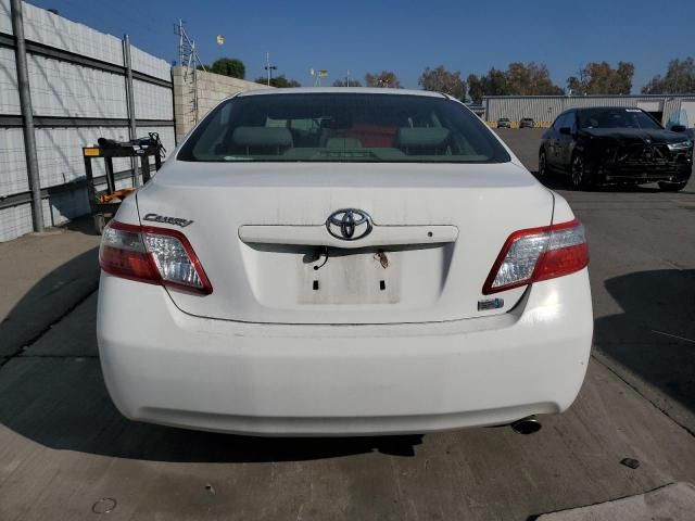 2009 Toyota Camry Hybrid