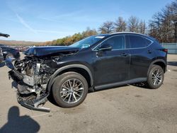 Lexus salvage cars for sale: 2023 Lexus NX 350