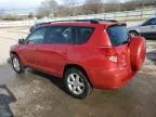 2008 Toyota Rav4 Limited