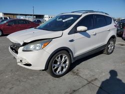 Ford salvage cars for sale: 2014 Ford Escape Titanium