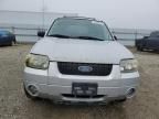 2005 Ford Escape HEV