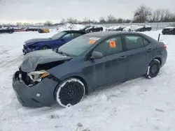 Salvage cars for sale at London, ON auction: 2016 Toyota Corolla L