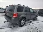 2009 Ford Escape XLT