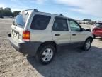 2003 Ford Escape XLT