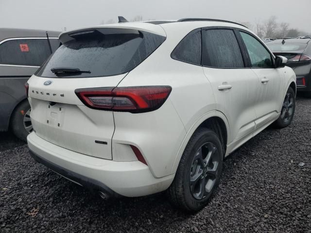 2024 Ford Escape ST Line Select