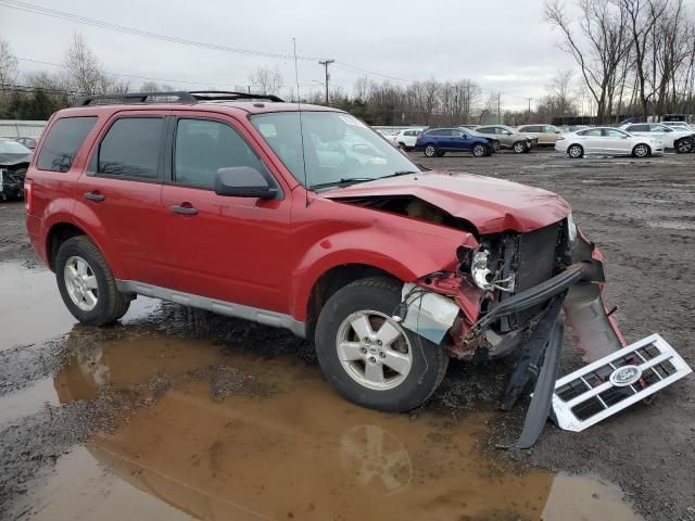 2009 Ford Escape XLT