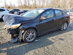 Ford Focus salvage cars for sale: 2017 Ford Focus SE