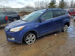 Salvage cars for sale at Davison, MI auction: 2013 Ford Escape SEL