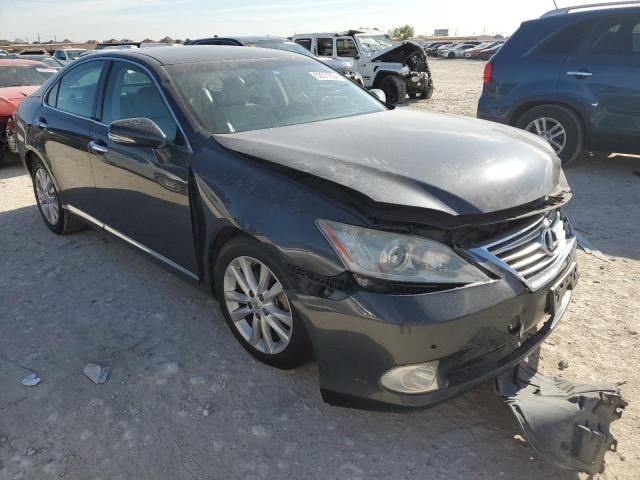 2010 Lexus ES 350