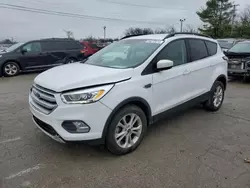 Vehiculos salvage en venta de Copart Lexington, KY: 2018 Ford Escape SEL