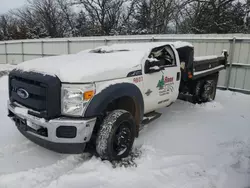 Vehiculos salvage en venta de Copart Avon, MN: 2014 Ford F450 Super Duty