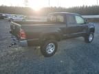 2005 Toyota Tacoma Prerunner Access Cab