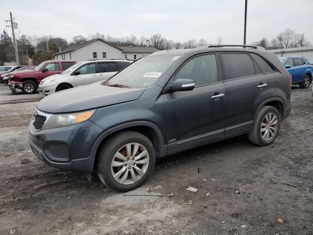 2011 KIA Sorento Base