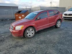 Salvage cars for sale at Elmsdale, NS auction: 2009 Dodge Caliber SXT