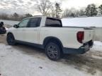 2019 Honda Ridgeline Sport