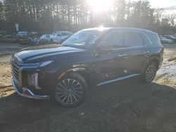 Hyundai Palisade salvage cars for sale: 2024 Hyundai Palisade Calligraphy