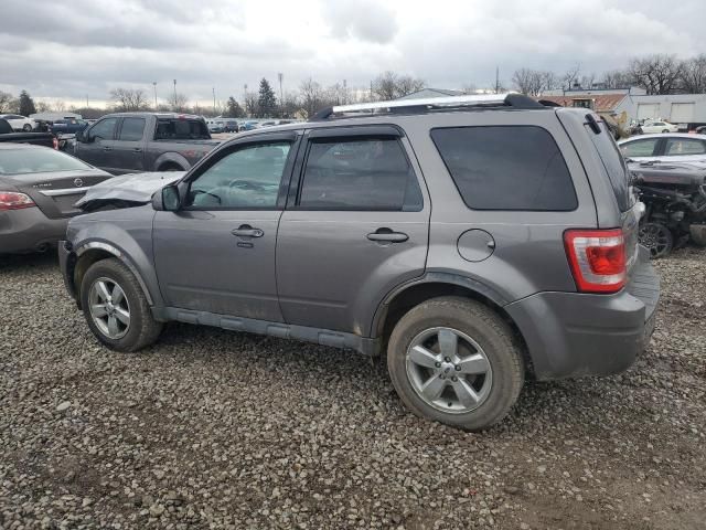 2012 Ford Escape Limited