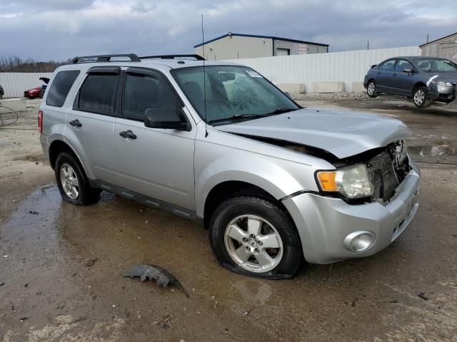 2010 Ford Escape XLT