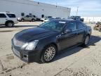 2011 Cadillac CTS Performance Collection