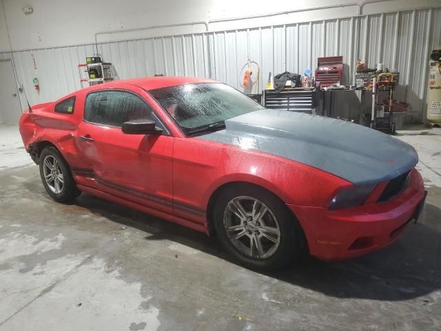 2010 Ford Mustang