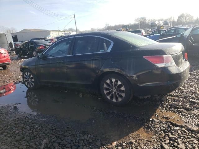 2010 Honda Accord EXL