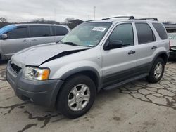 Ford Vehiculos salvage en venta: 2002 Ford Escape XLT