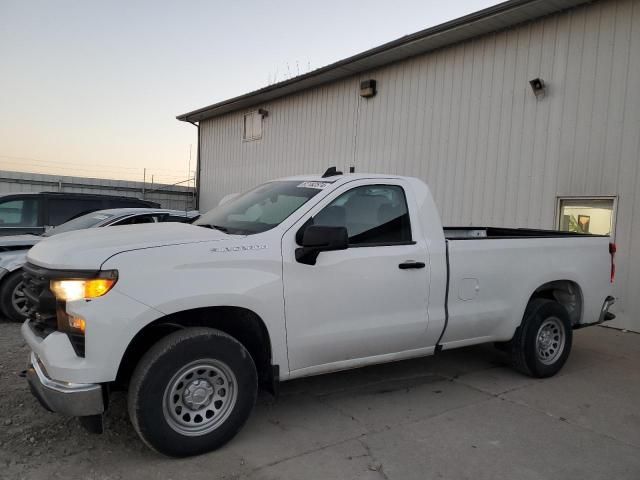 2024 Chevrolet Silverado C1500