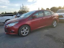 Ford salvage cars for sale: 2013 Ford Focus SE