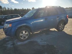 Salvage cars for sale at Windham, ME auction: 2011 Ford Escape XLT