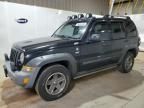 2005 Jeep Liberty Renegade