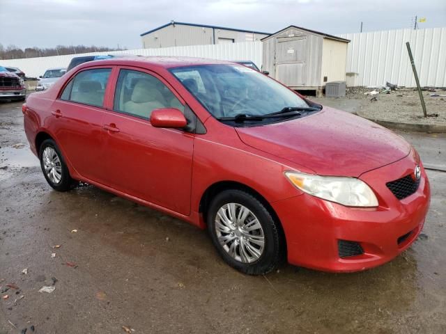 2009 Toyota Corolla Base