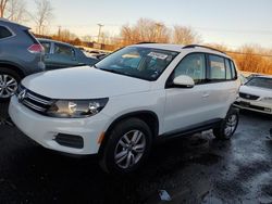 Salvage cars for sale at New Britain, CT auction: 2017 Volkswagen Tiguan S