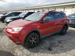 Salvage cars for sale at Louisville, KY auction: 2017 Toyota Rav4 SE